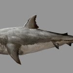 Assassin’s Creed IV Black Flag – new concept art shows under water exploration, harpooning sharks and more (10)