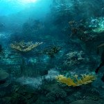 Assassin’s Creed IV Black Flag – new concept art shows under water exploration, harpooning sharks and more (2)