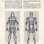Images from the Elder Scrolls Online Limited Edition Hero’s Guide