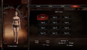 Character, Pawn customisation in Dragon’s Dogma